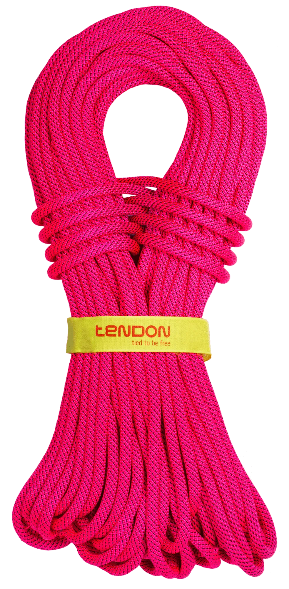 9,0mm Master TEFIX Dry Rope 60m