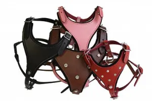 Angel Malibu Padded Leather Dog Harness