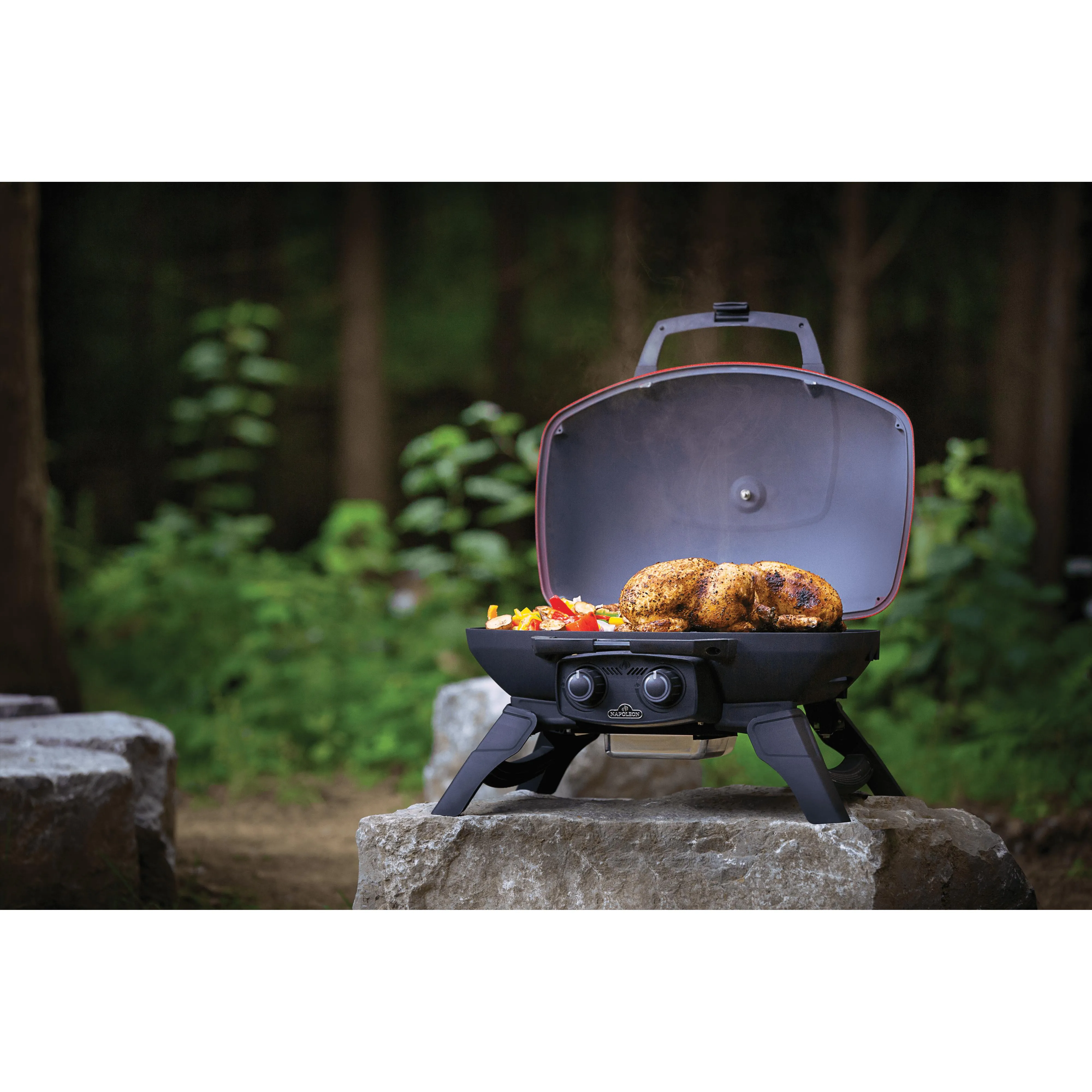 Napoleon Grills Gas Grills TQ285-RD-1-A